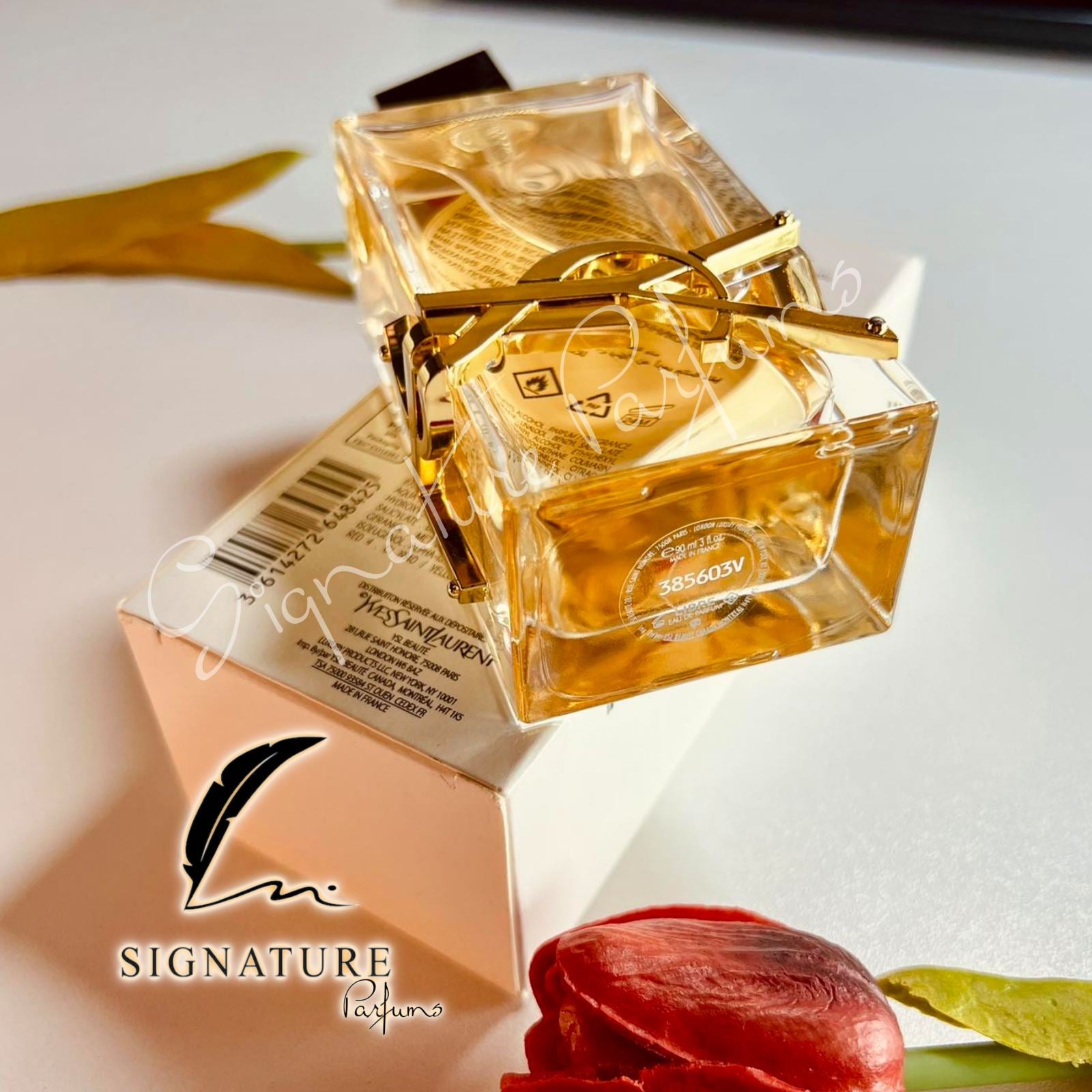 Libre Yves Saint Laurent pour femme 👩