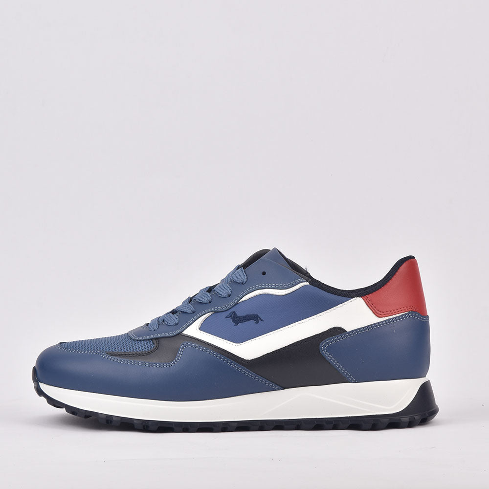 HARMONT AND BLAINE SCARPA UOMO CALF AZZURRO - EFM231-079-6470 - Image 6