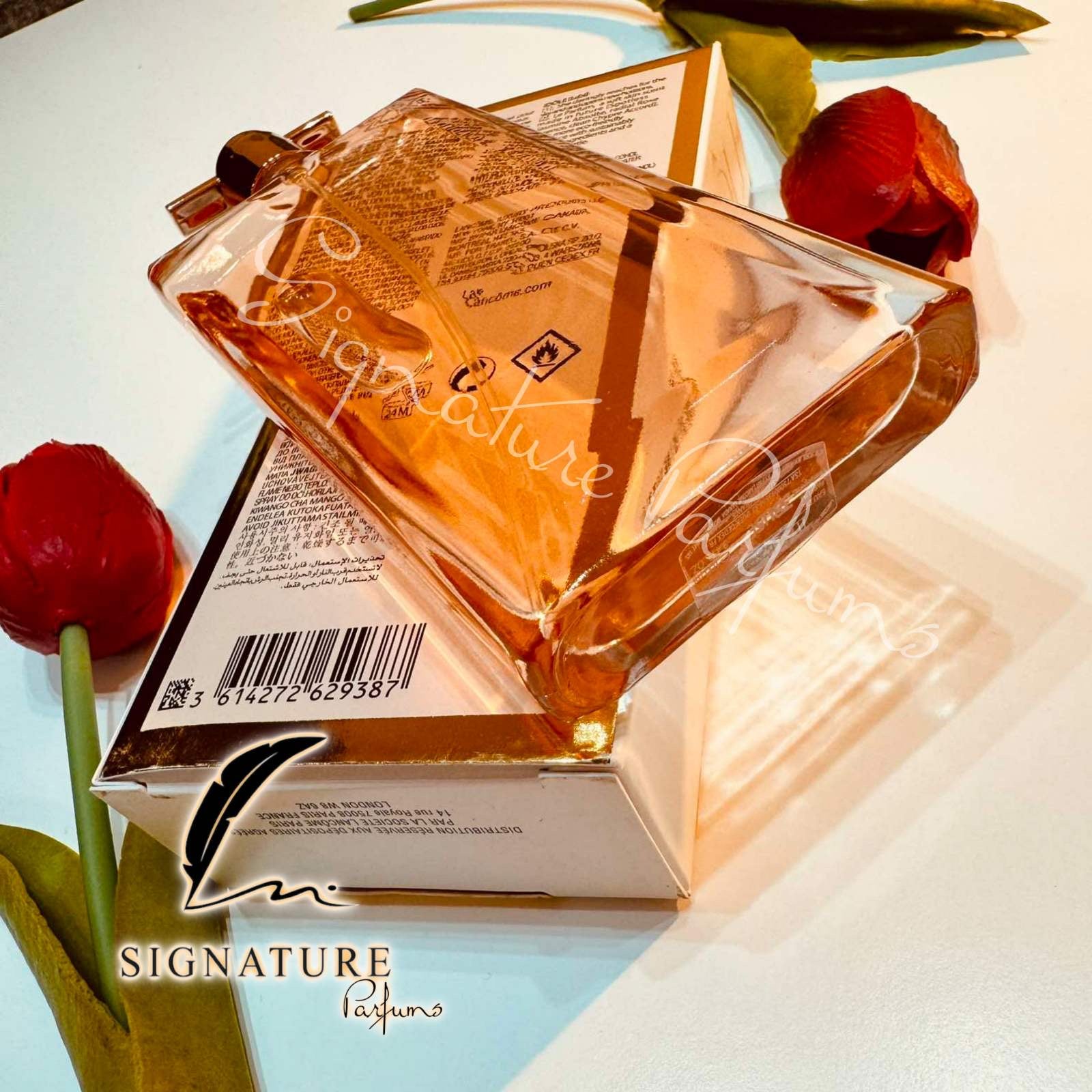 Idôle Le Parfum pour Femme 👩