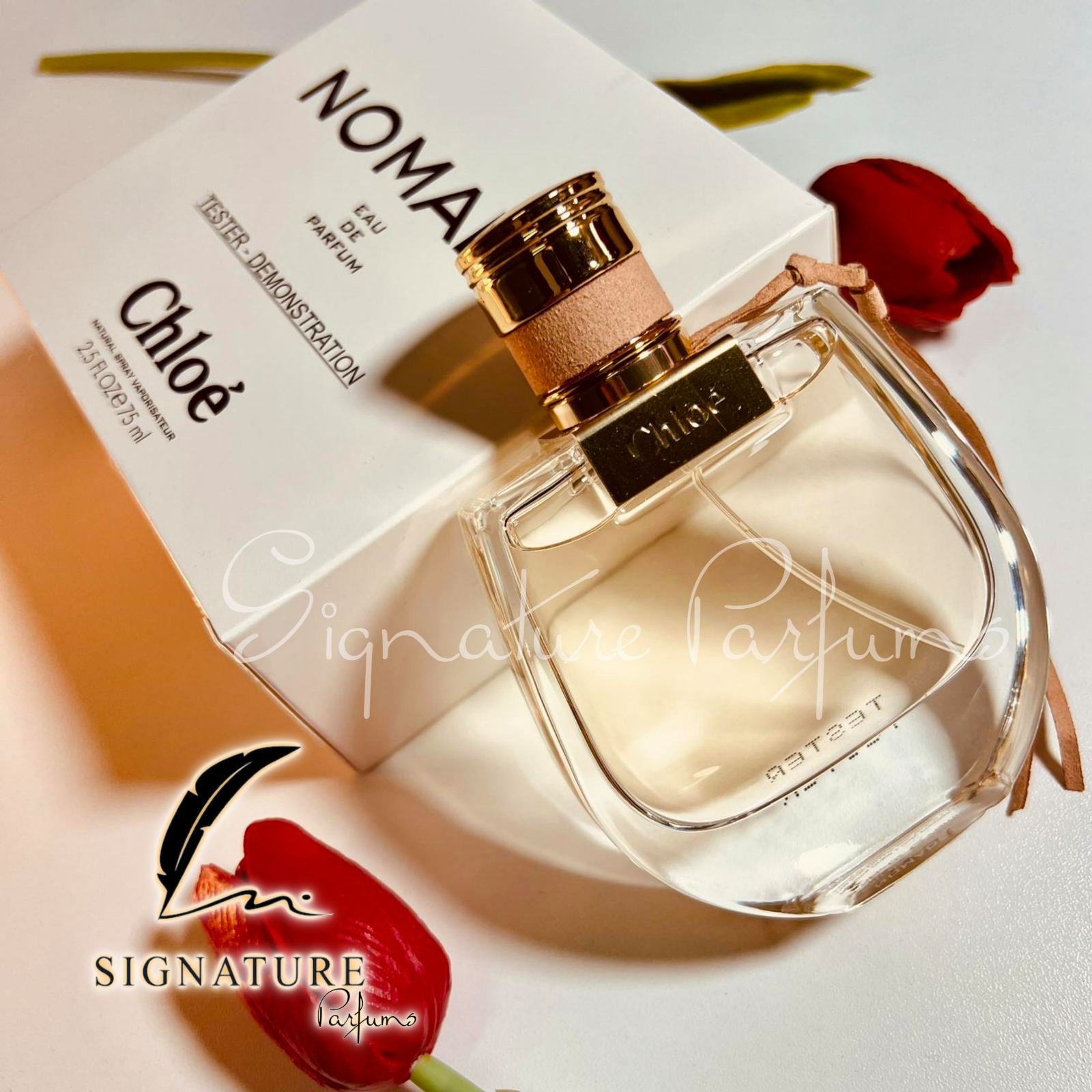 Nomade Chloé pour femme 👩