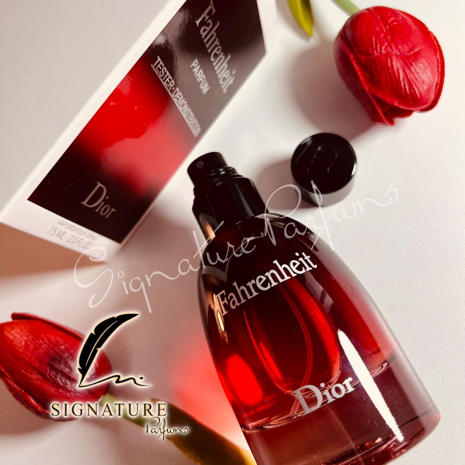 Fahrenheit Dior pour homme 👨