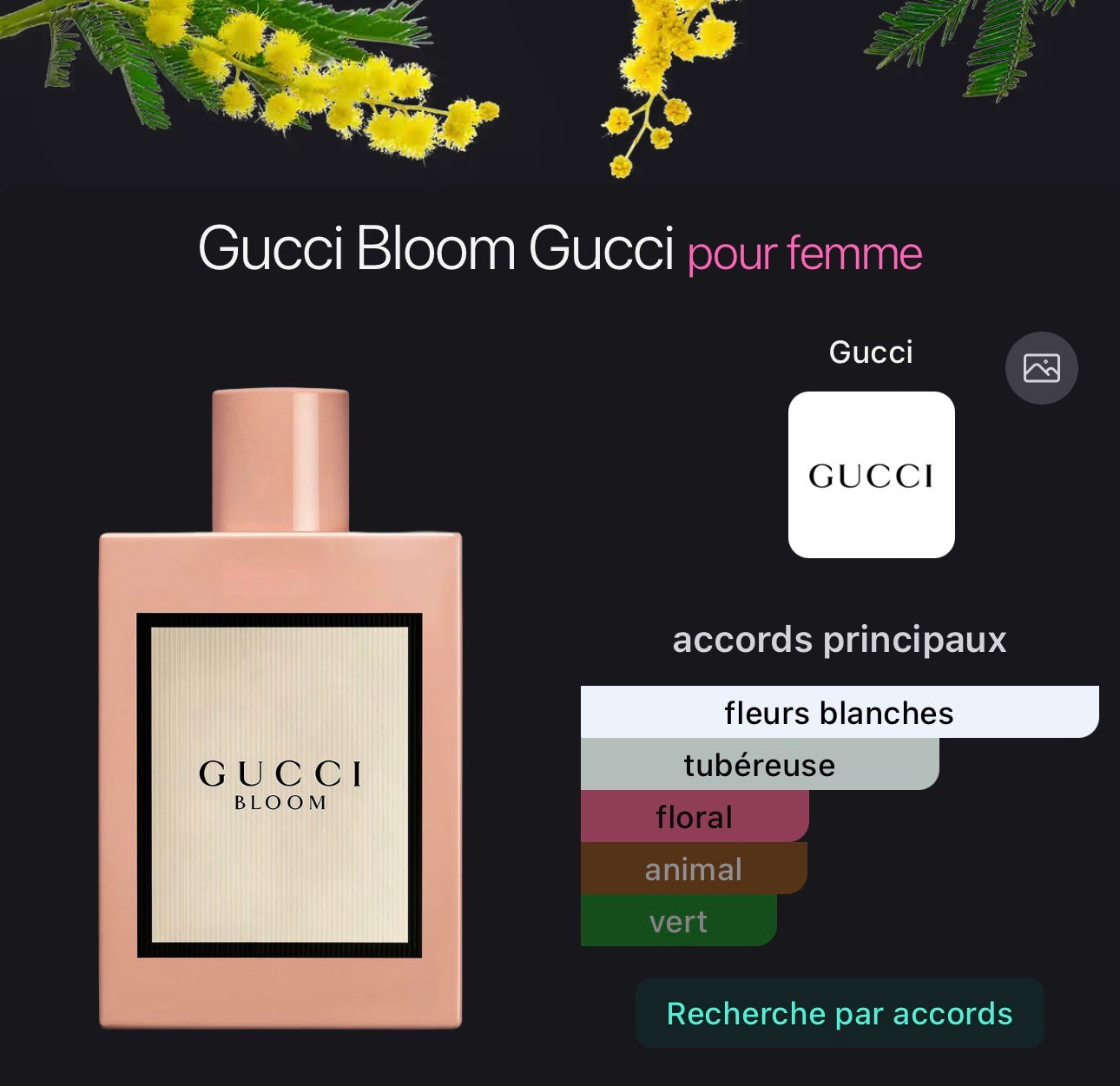 Gucci Bloom Gucci pour femme 👩