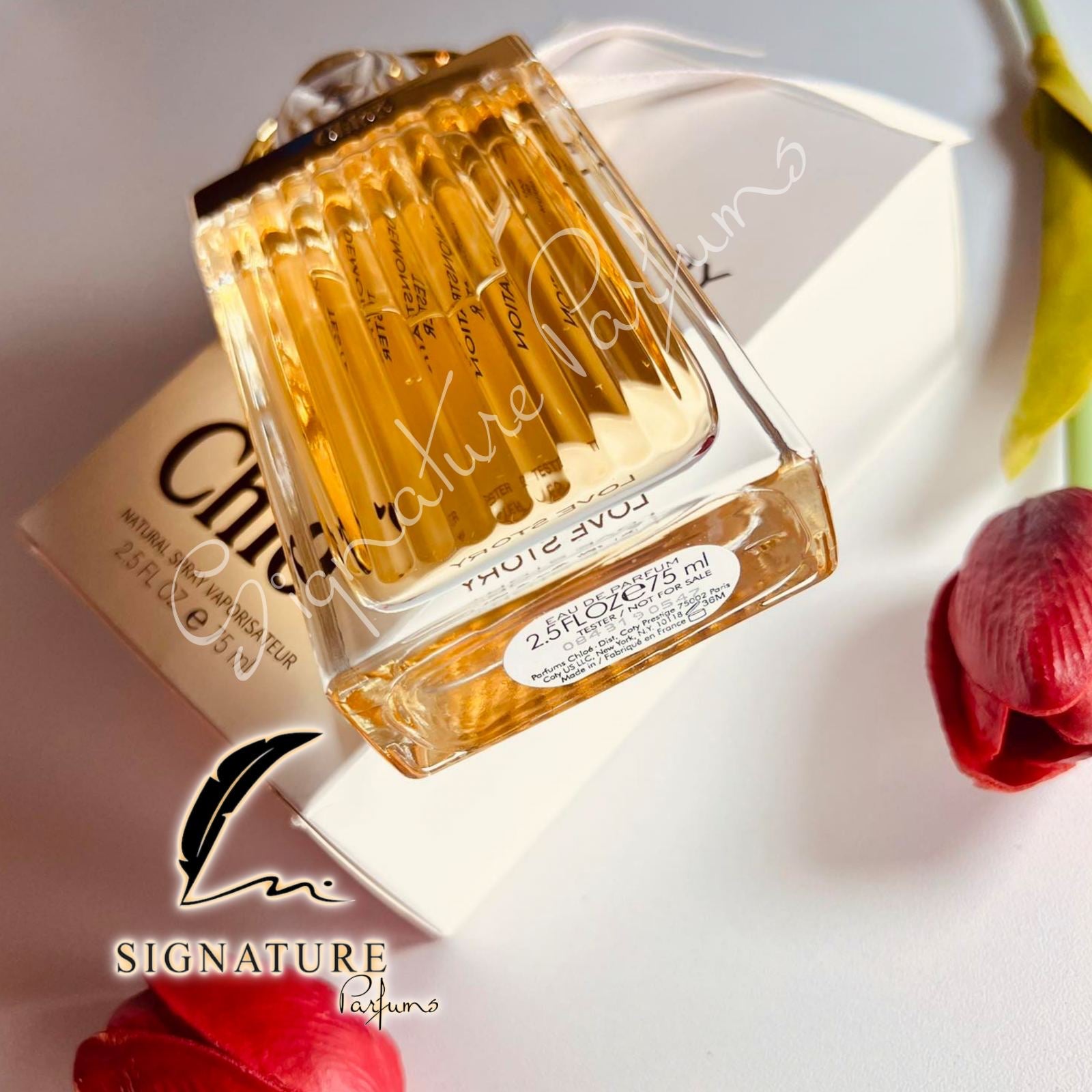 Love Story Chloé pour femme 👩