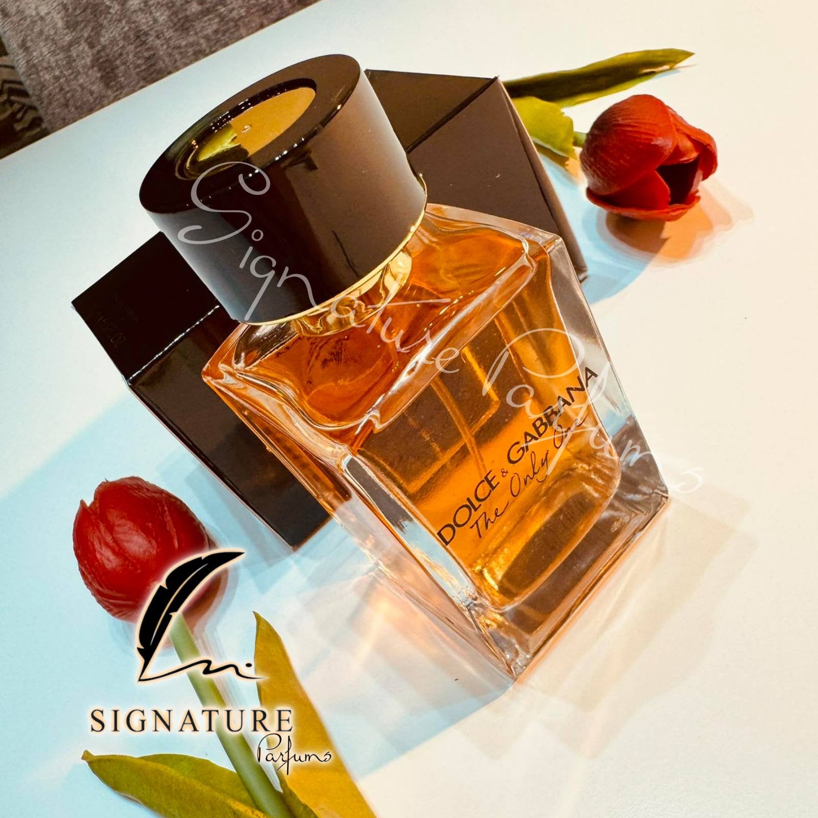 D&G The Only One Pour Femme 👩