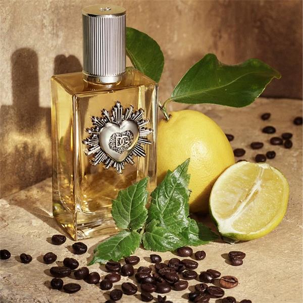 Dolce & Gabbana Devotion Pour Homme Eau de Parfum 100 ml - 8054754401059 - Image 5