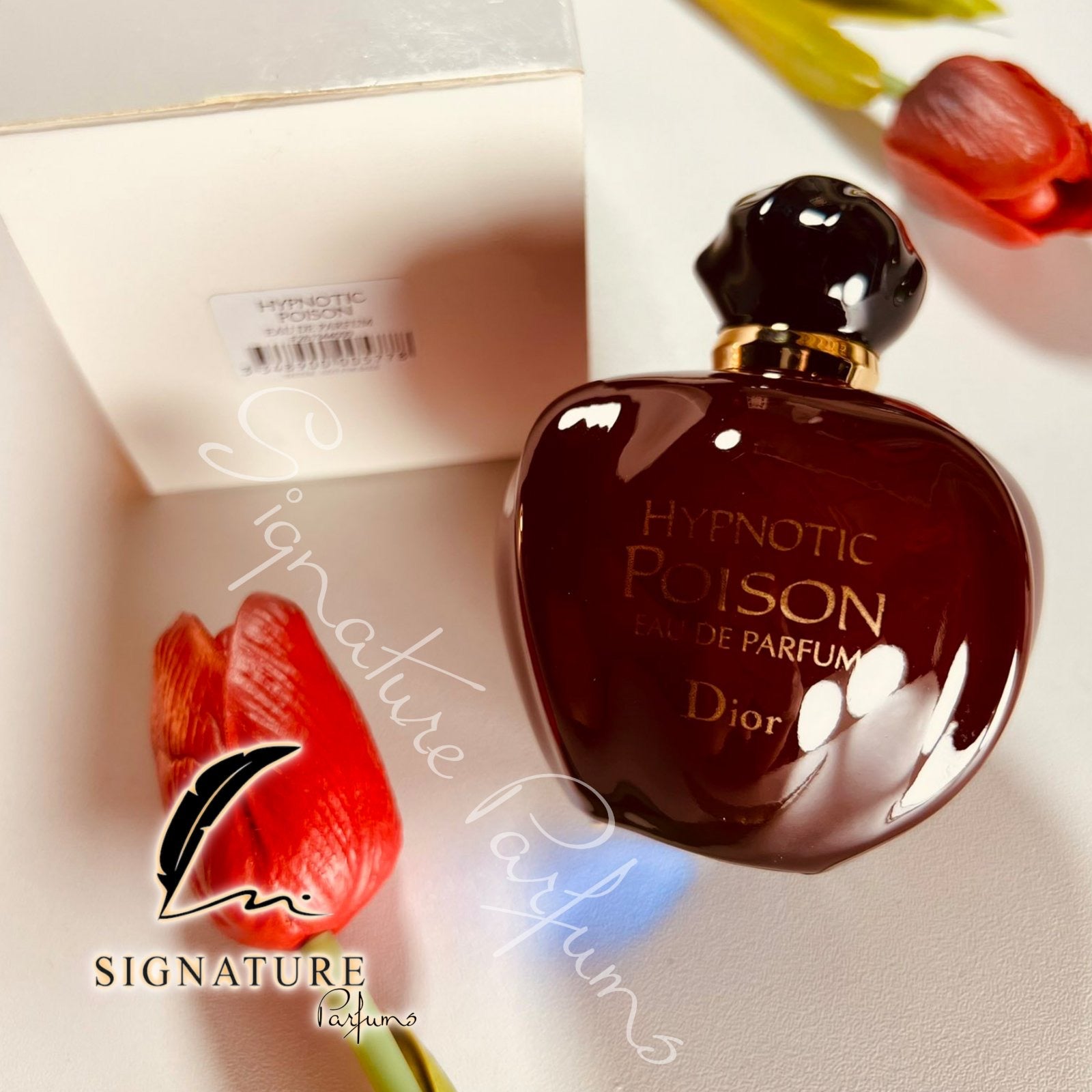 Hypnotic Poison Eau de Parfum Dior pour femme 👩