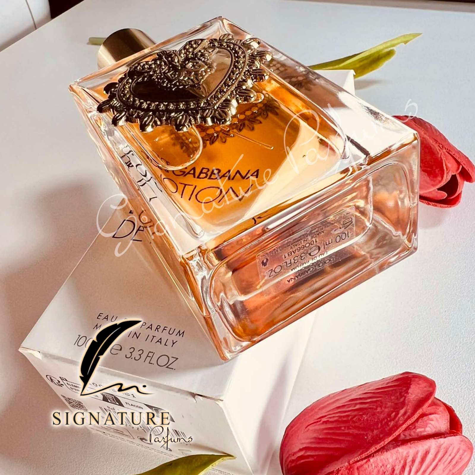 Devotion Dolce&Gabbana pour femme 👩