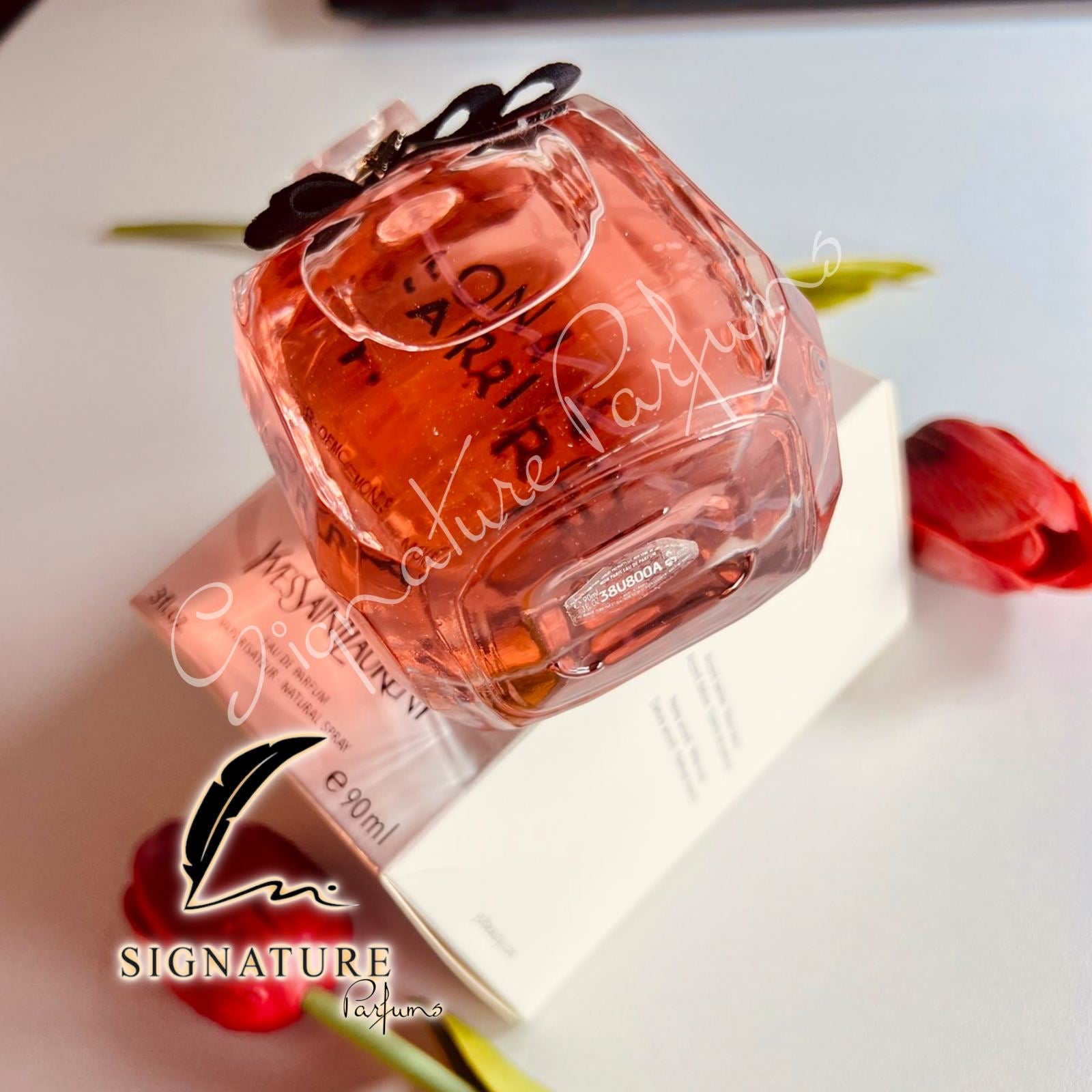 Mon Paris Yves Saint Laurent pour femme 👩