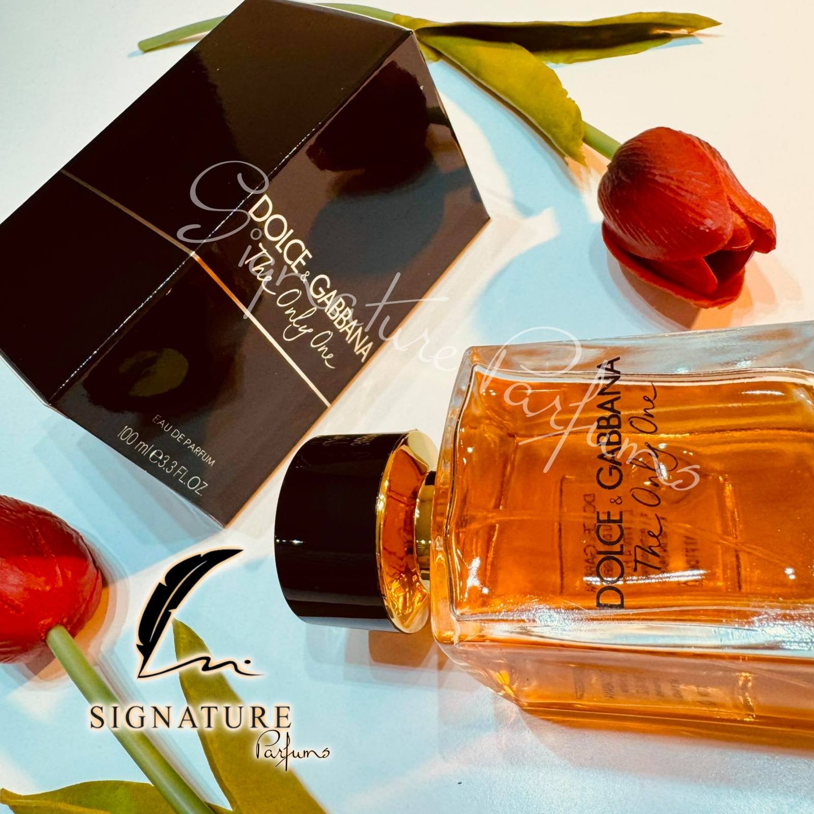 D&G The Only One Pour Femme 👩