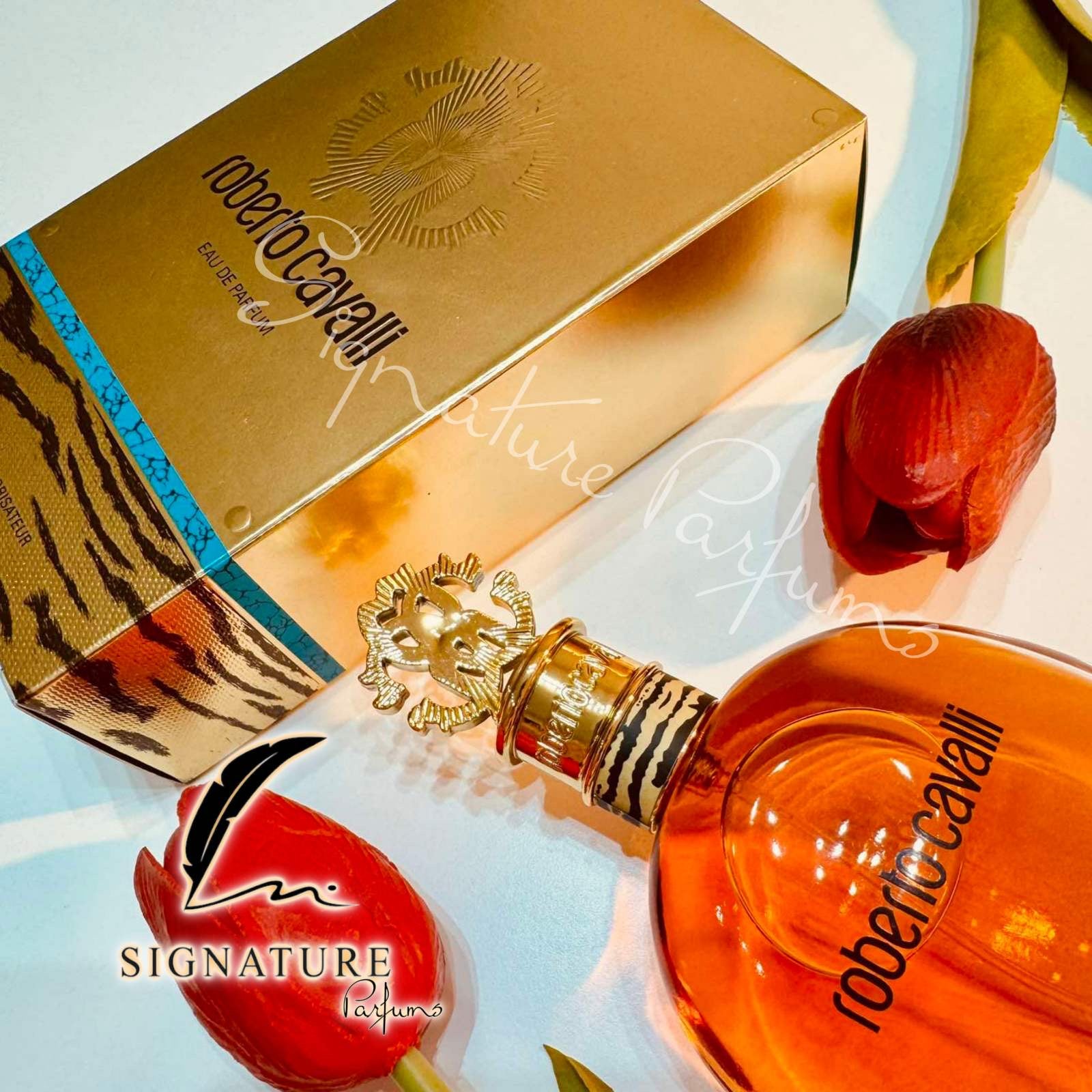 Roberto Cavalli Pour Femme 👩