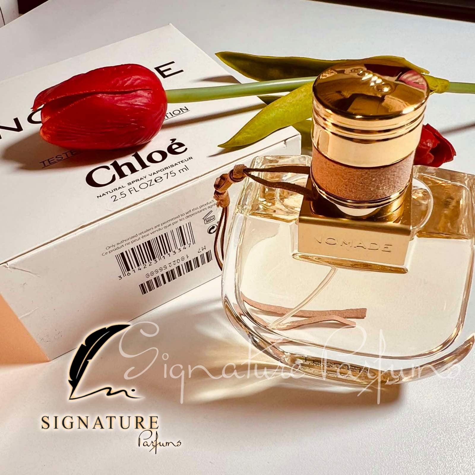 Nomade Chloé pour femme 👩