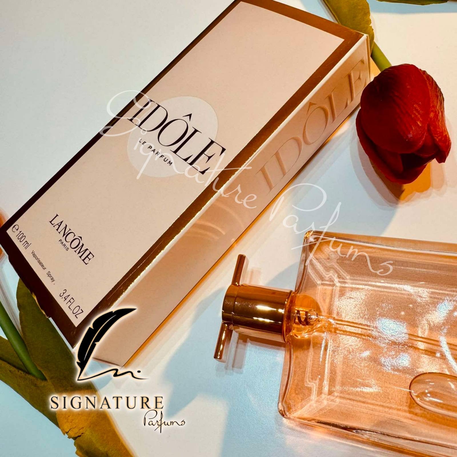 Idôle Le Parfum pour Femme 👩