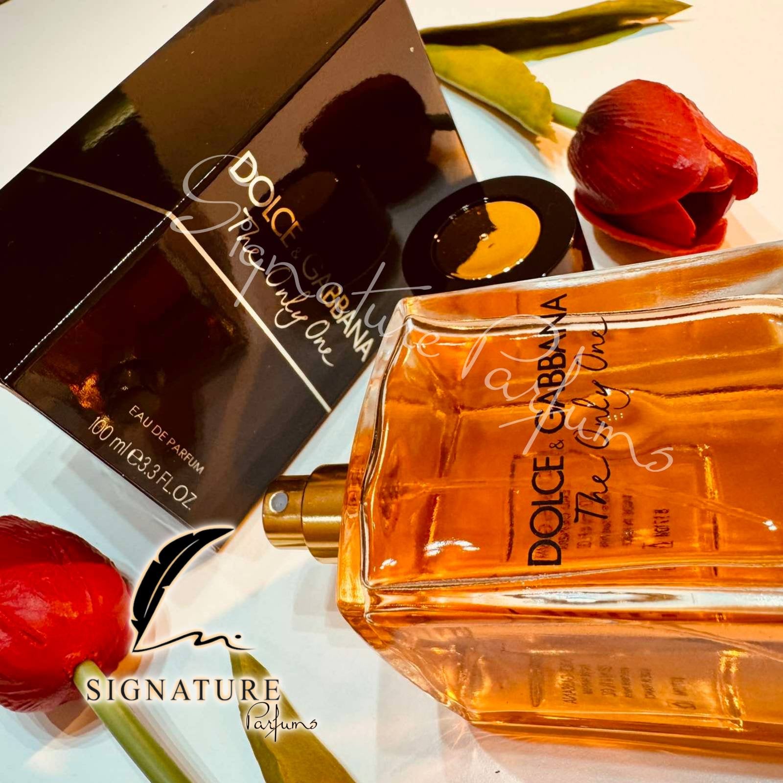 D&G The Only One Pour Femme 👩