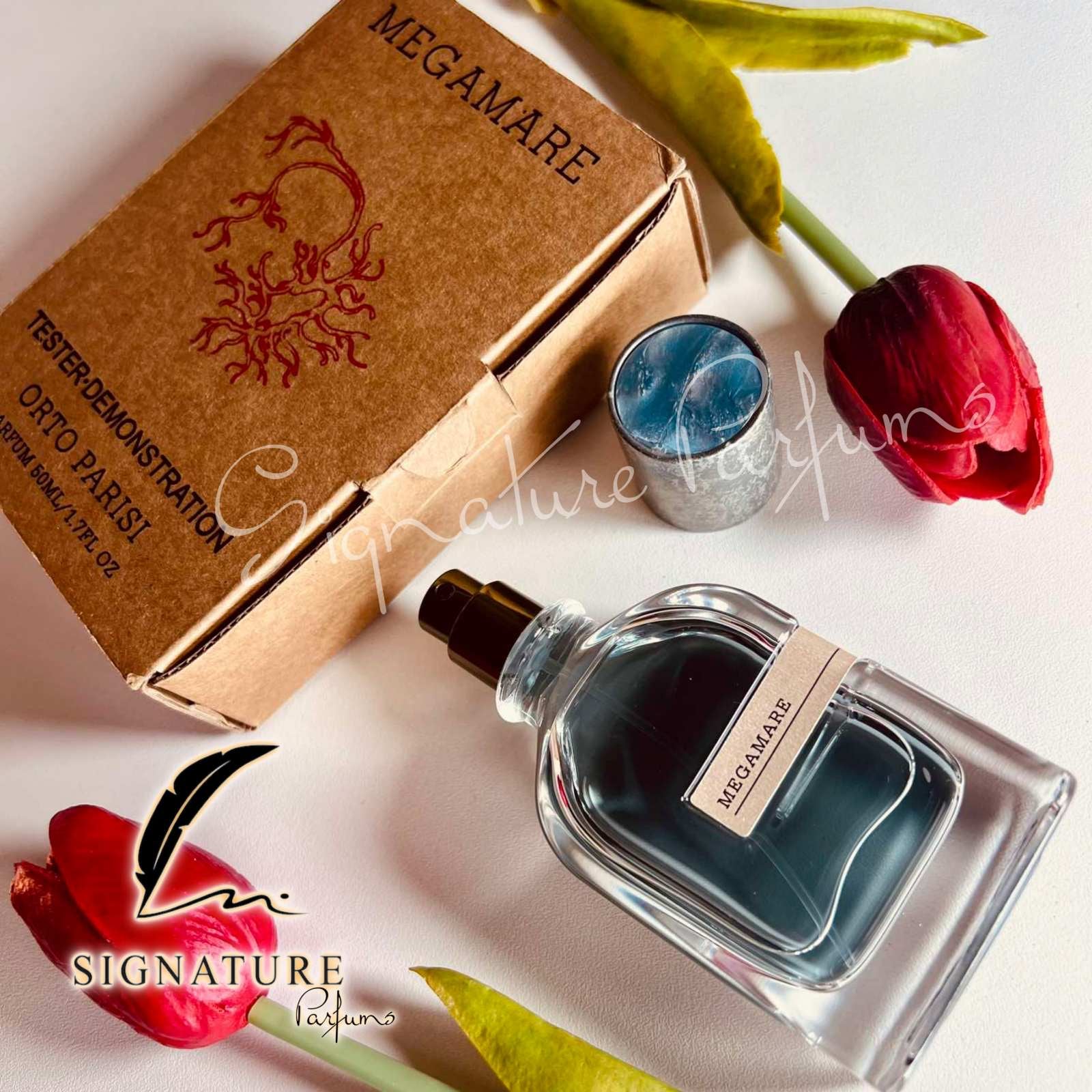 Megamare Orto Parisi pour homme et femme 👩 👨