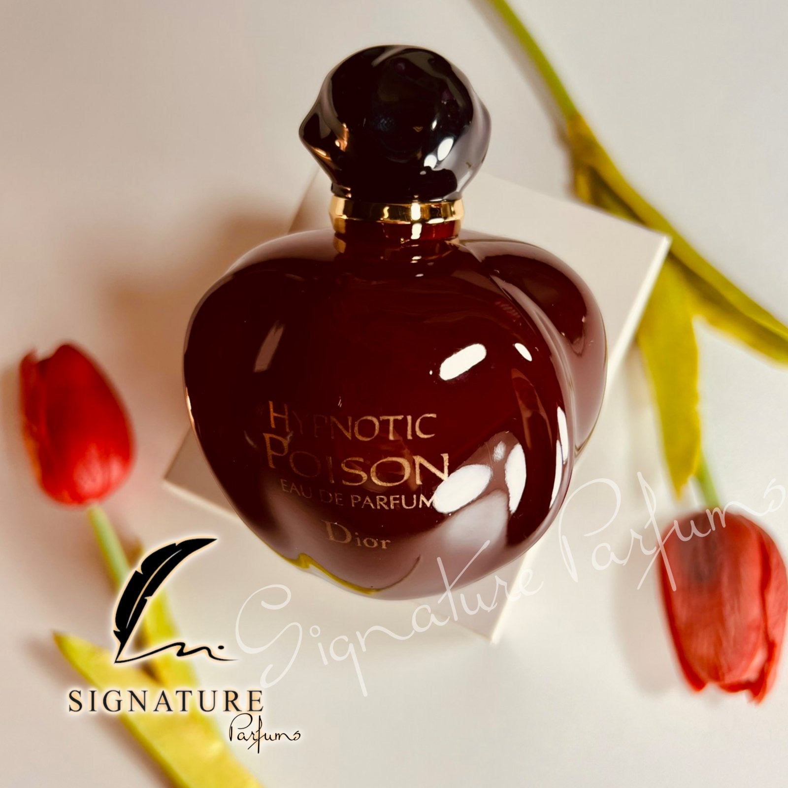 Hypnotic Poison Eau de Parfum Dior pour femme 👩