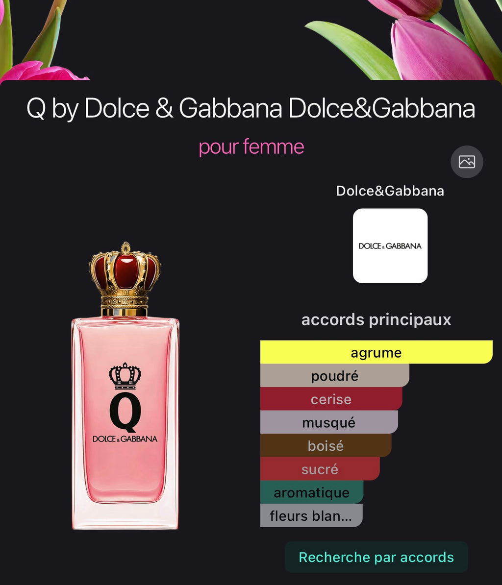 Q by Dolce & Gabbana Dolce&Gabbana pour femme 👩