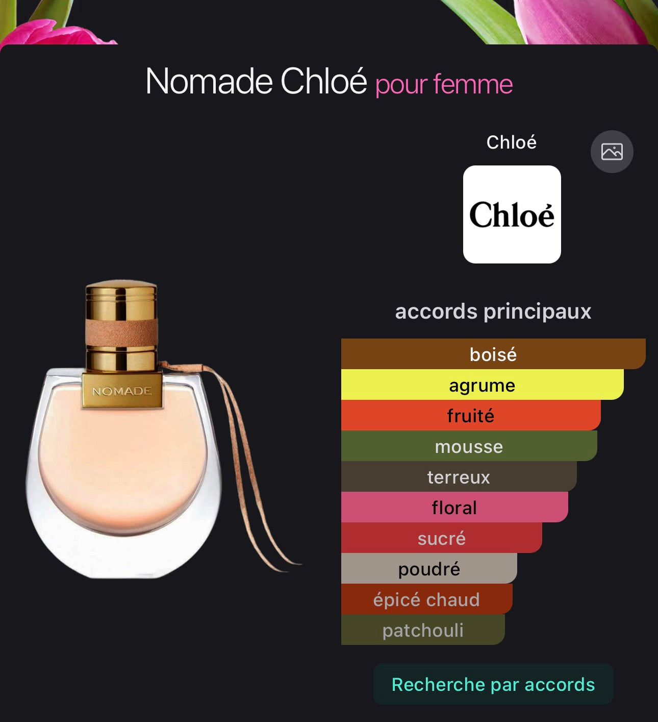 Nomade Chloé pour femme 👩