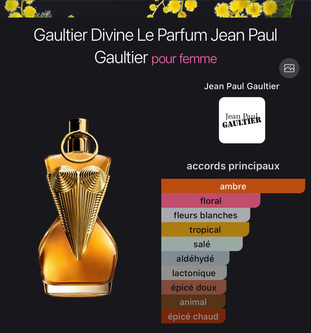 Gaultier Divine Le Parfum Jean Paul Gaultier pour femme 👩
