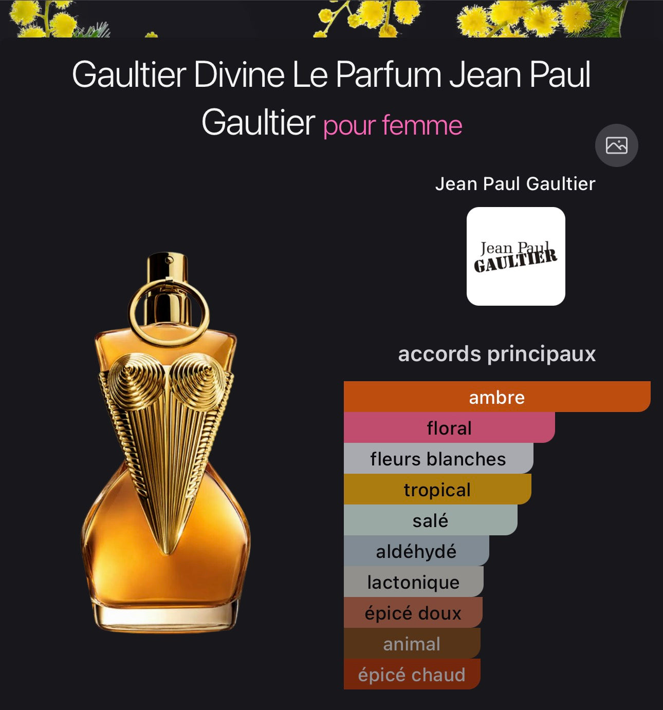 Gaultier Divine Le Parfum Jean Paul Gaultier pour femme 👩