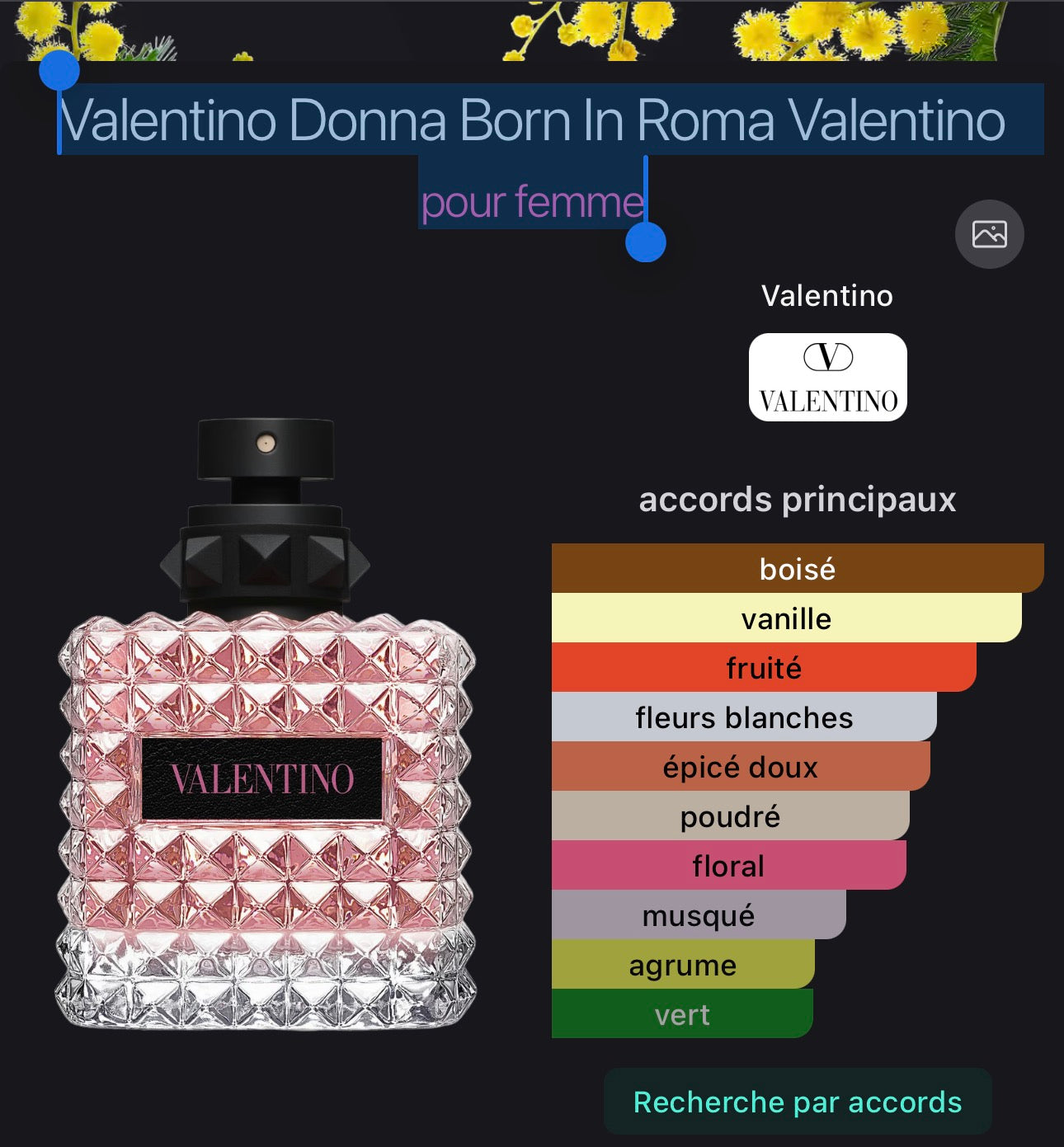 Valentino Donna Born In Roma Valentino pour femme 👩