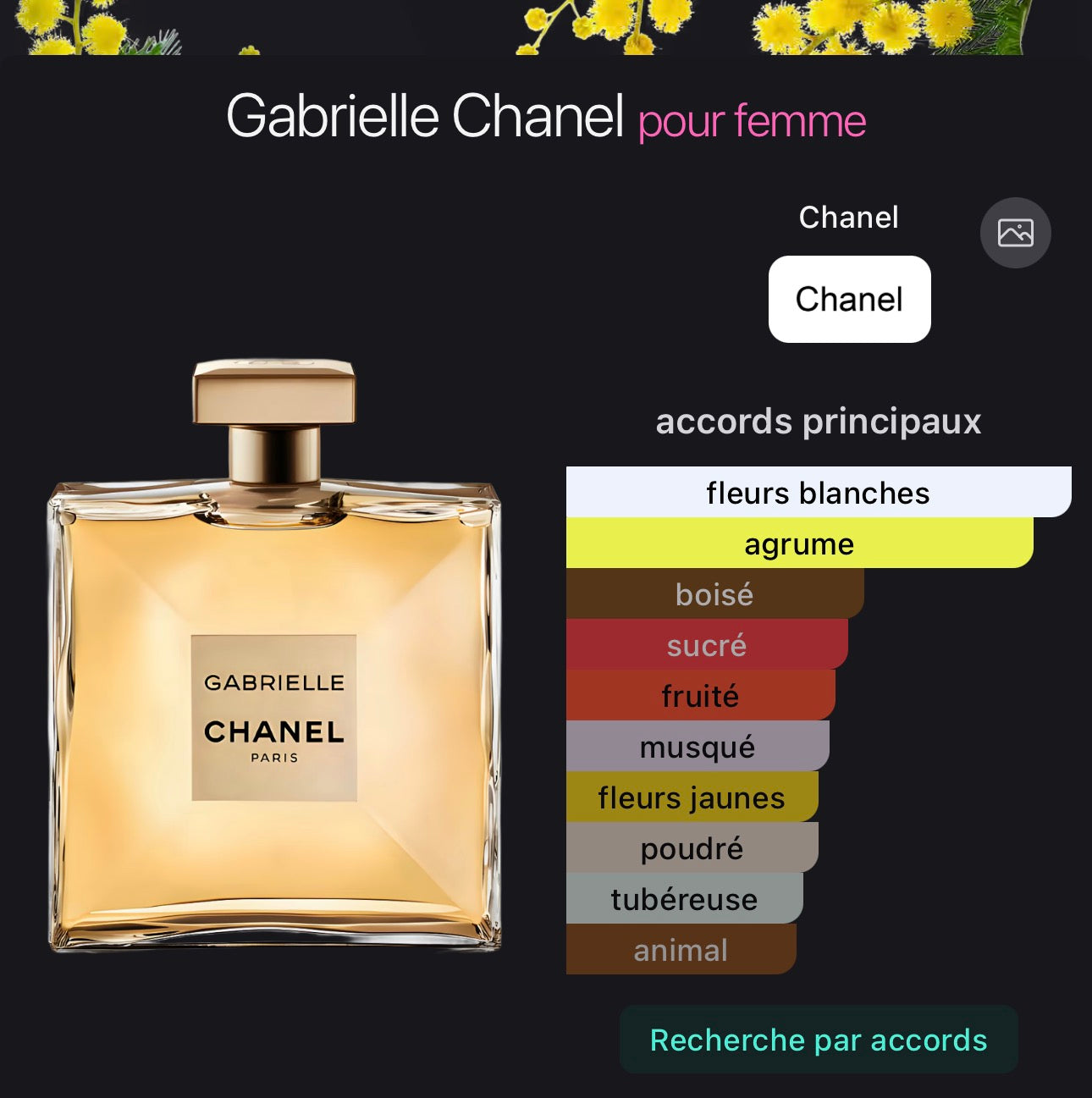 Gabrielle Chanel pour femme 👩