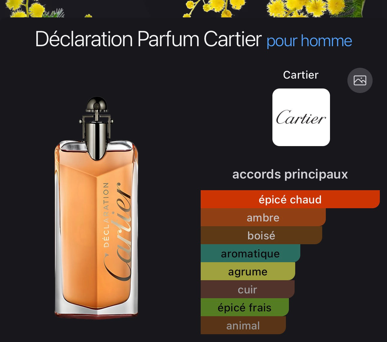 Cartier déclaration Pour Homme 👨
