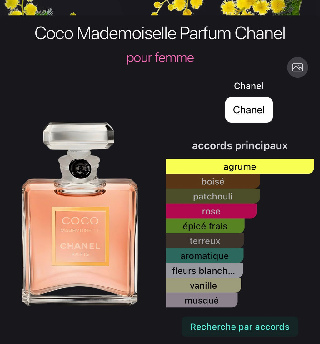 Coco Mademoiselle Parfum Chanel pour femme 👩