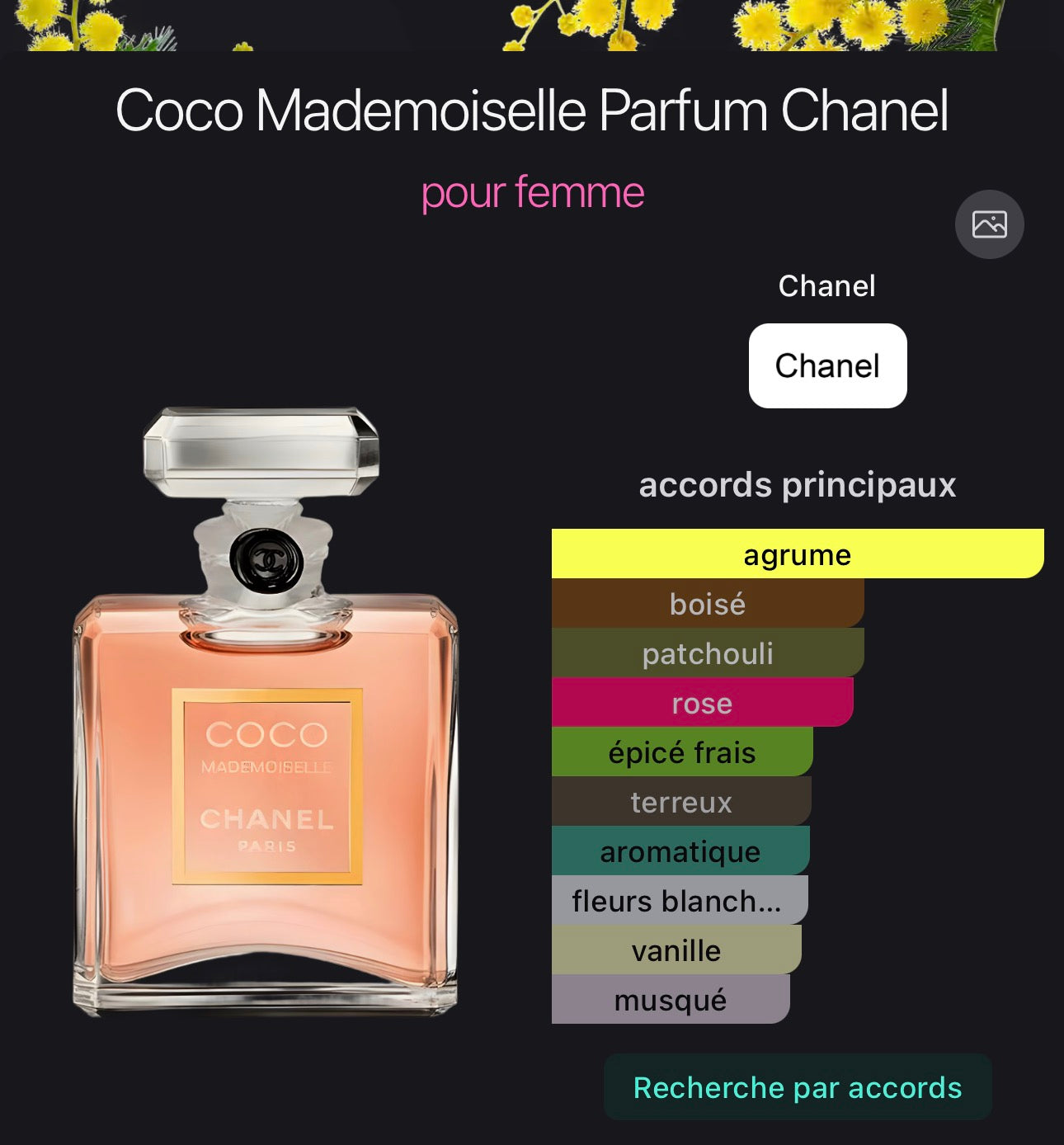 Coco Mademoiselle Parfum Chanel pour femme 👩