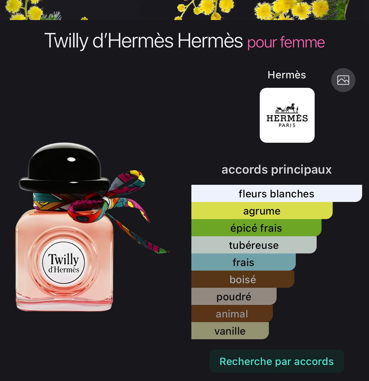 Twilly d’Hermès Hermès pour femme 👩