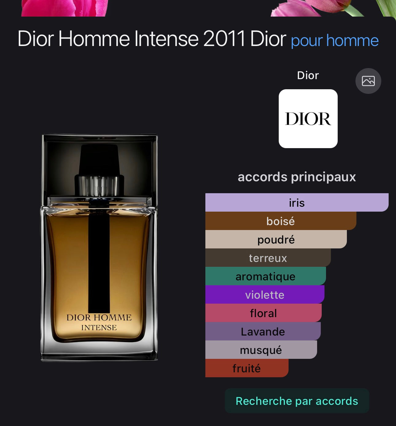 Dior Homme Intense 2011 Dior pour homme 👨