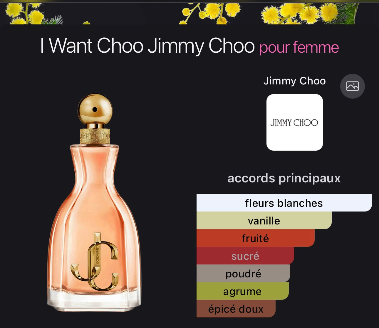 I Want Choo Jimmy Choo pour femme