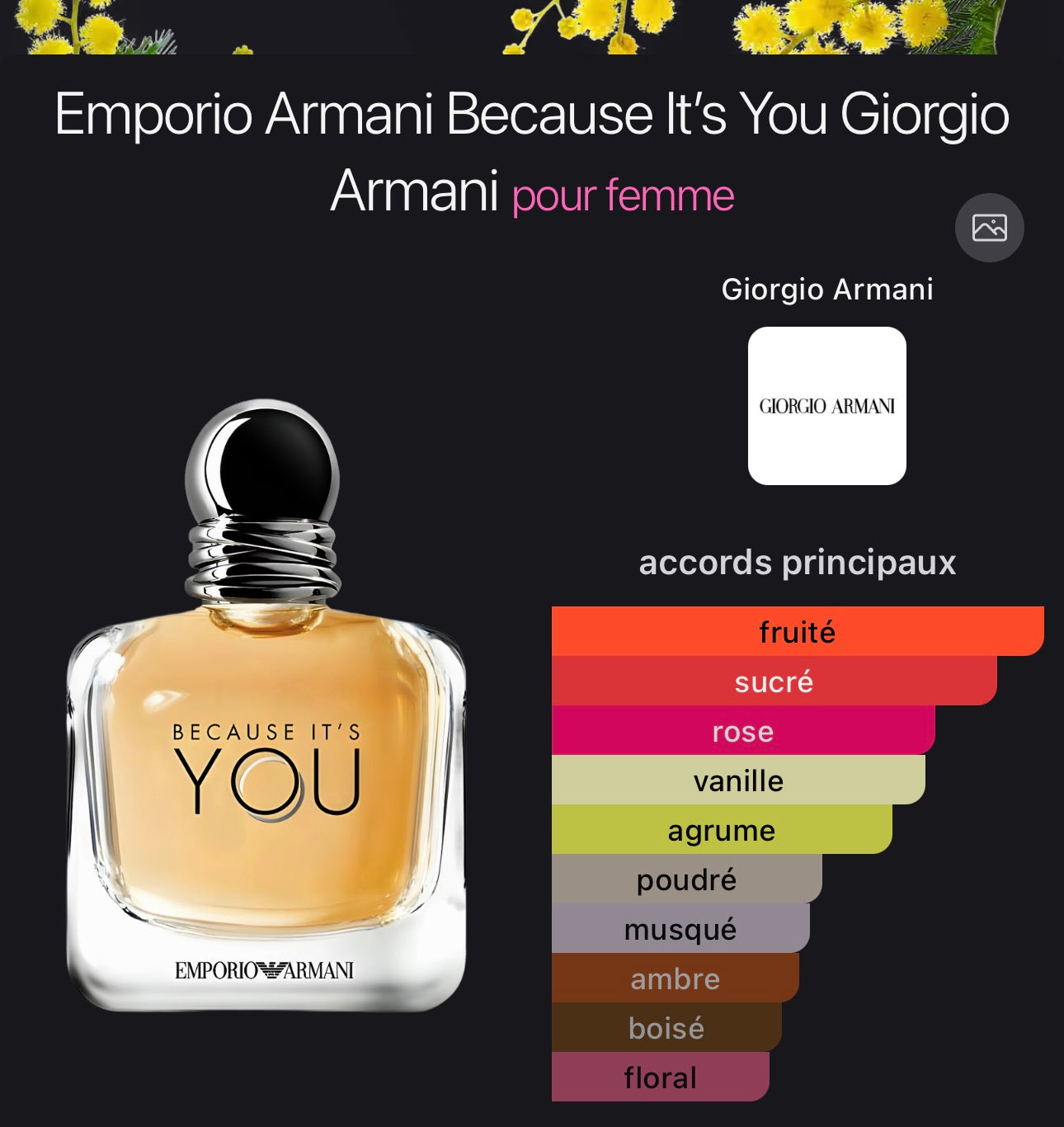 Emporio Armani Because It’s You Giorgio Armani pour femme 👩