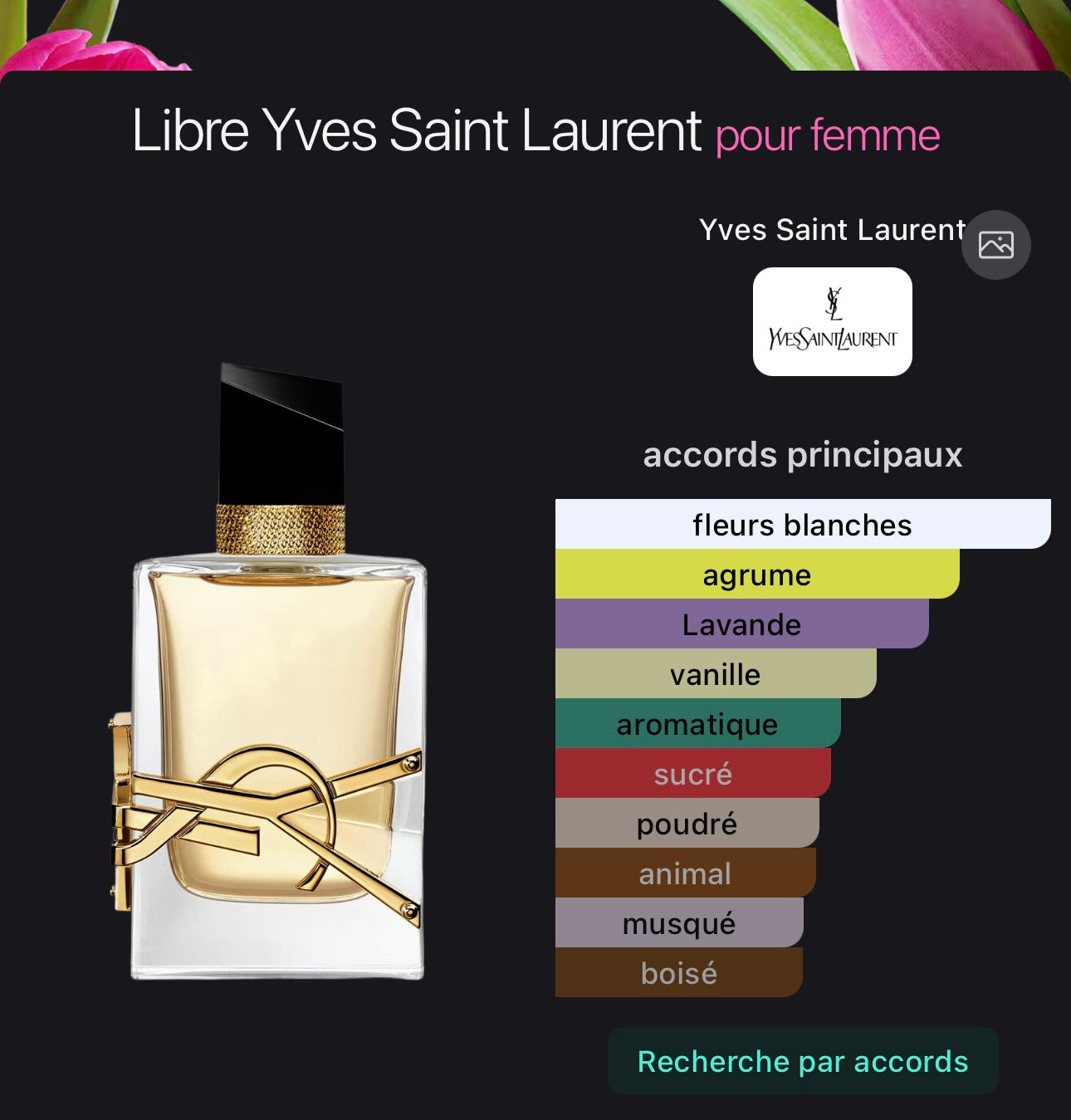 Libre Yves Saint Laurent pour femme 👩