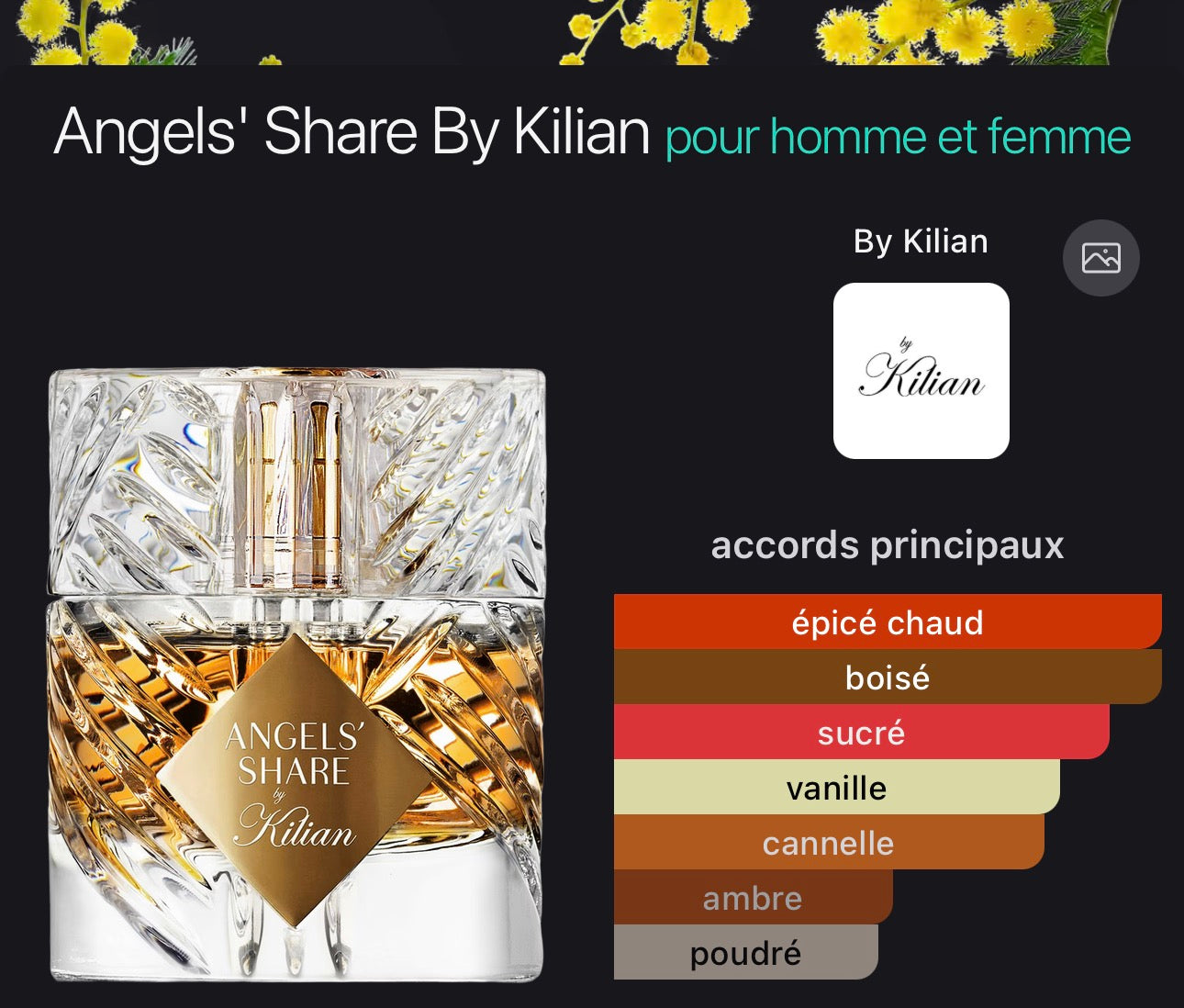 Angels' Share By Kilian pour homme et femme 👩 👨