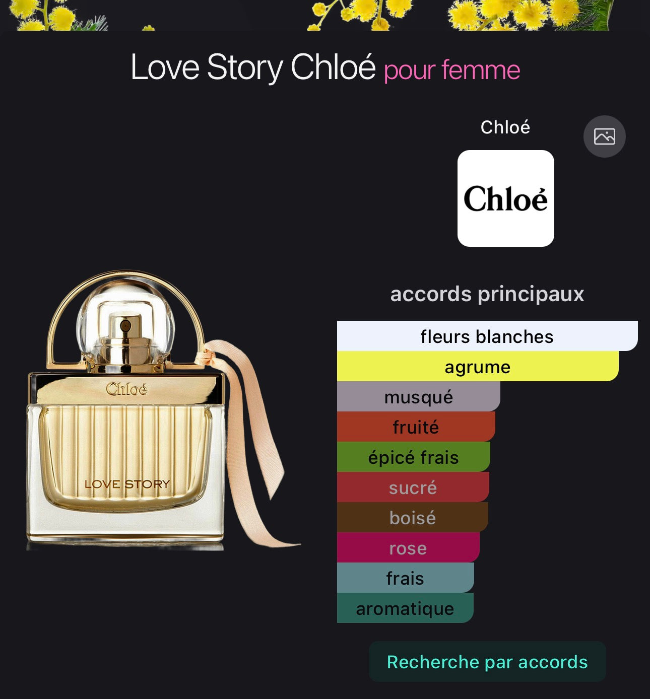 Love Story Chloé pour femme 👩