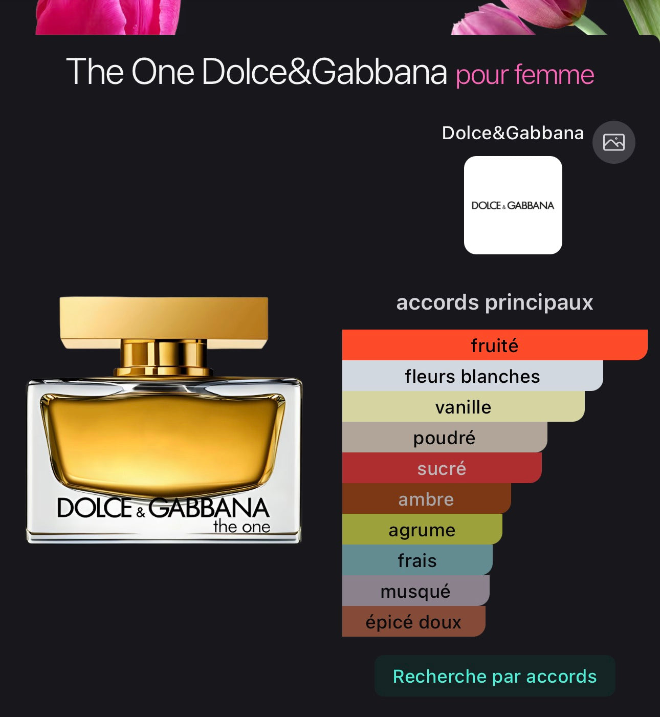 The One Dolce&Gabbana pour femme 👩