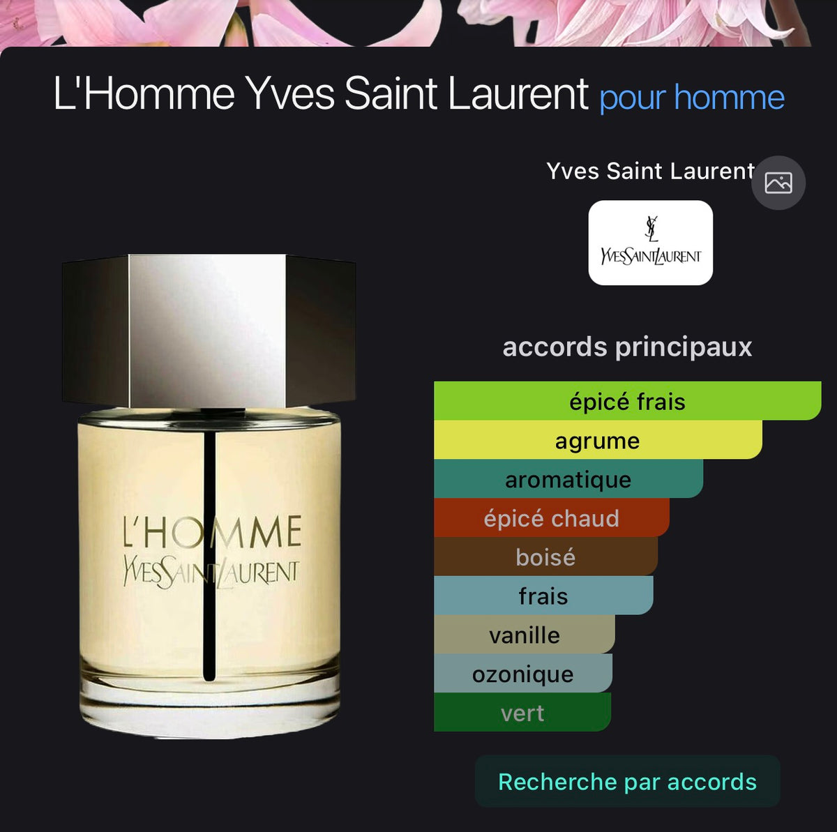 L'Homme Yves Saint Laurent pour homme 👨