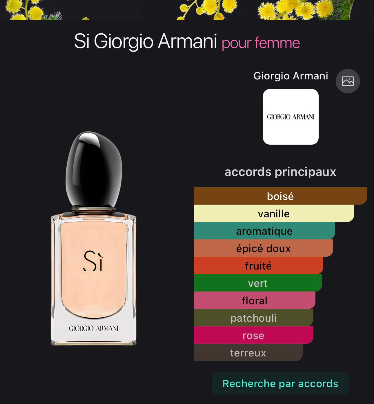 Si Giorgio Armani pour femme 👩