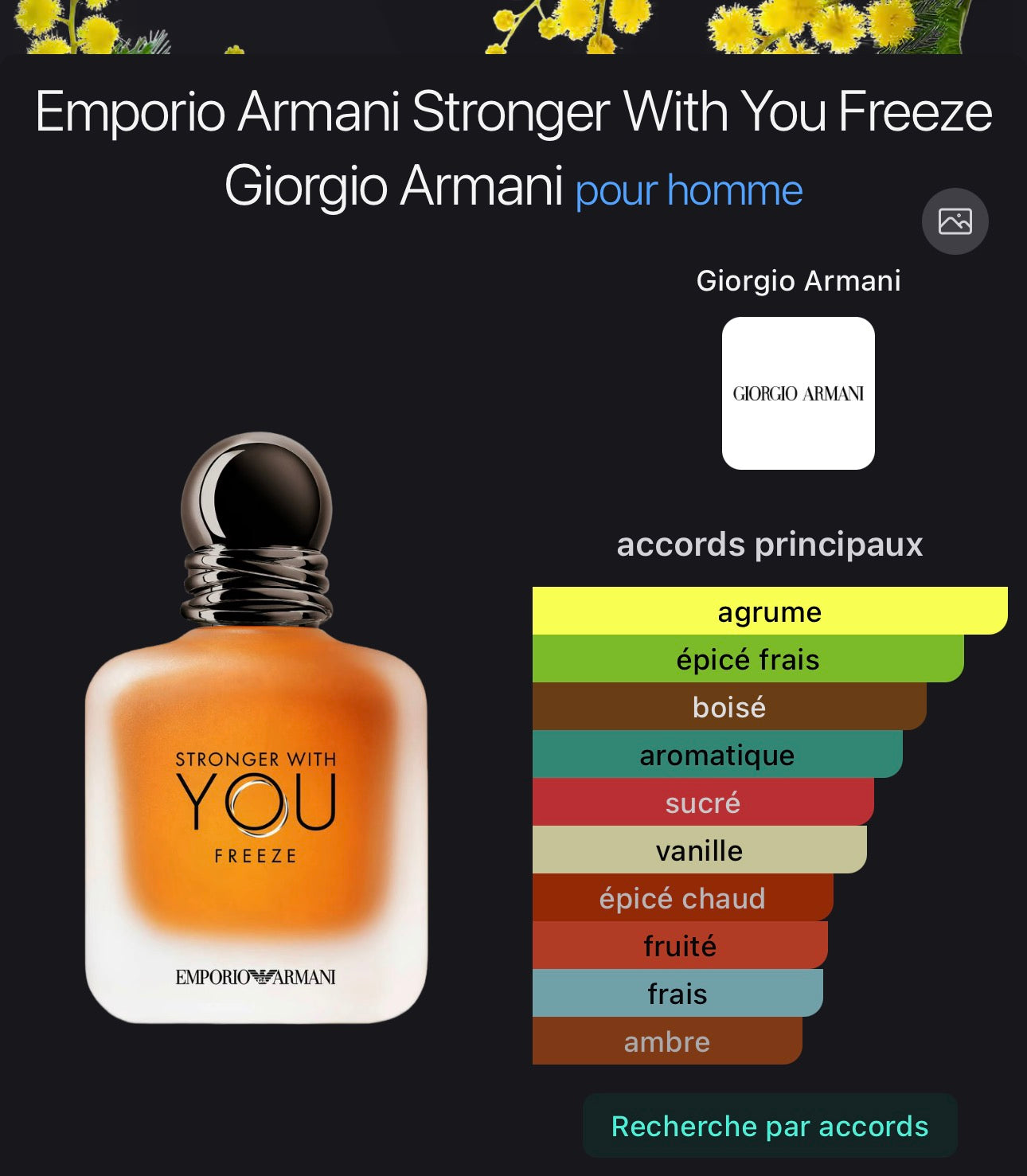 Emporio Armani Stronger With You Freeze Giorgio Armani pour homme 👨