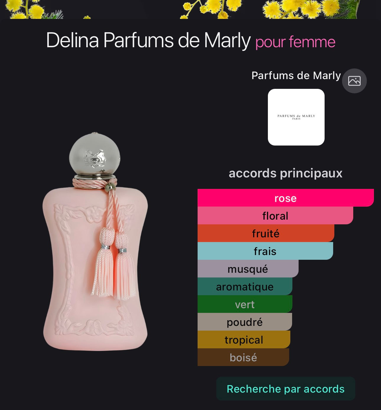 Delina Parfums de Marly pour femme 👩