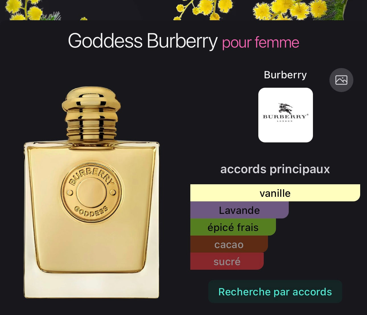 Goddess Burberry pour femme 👩