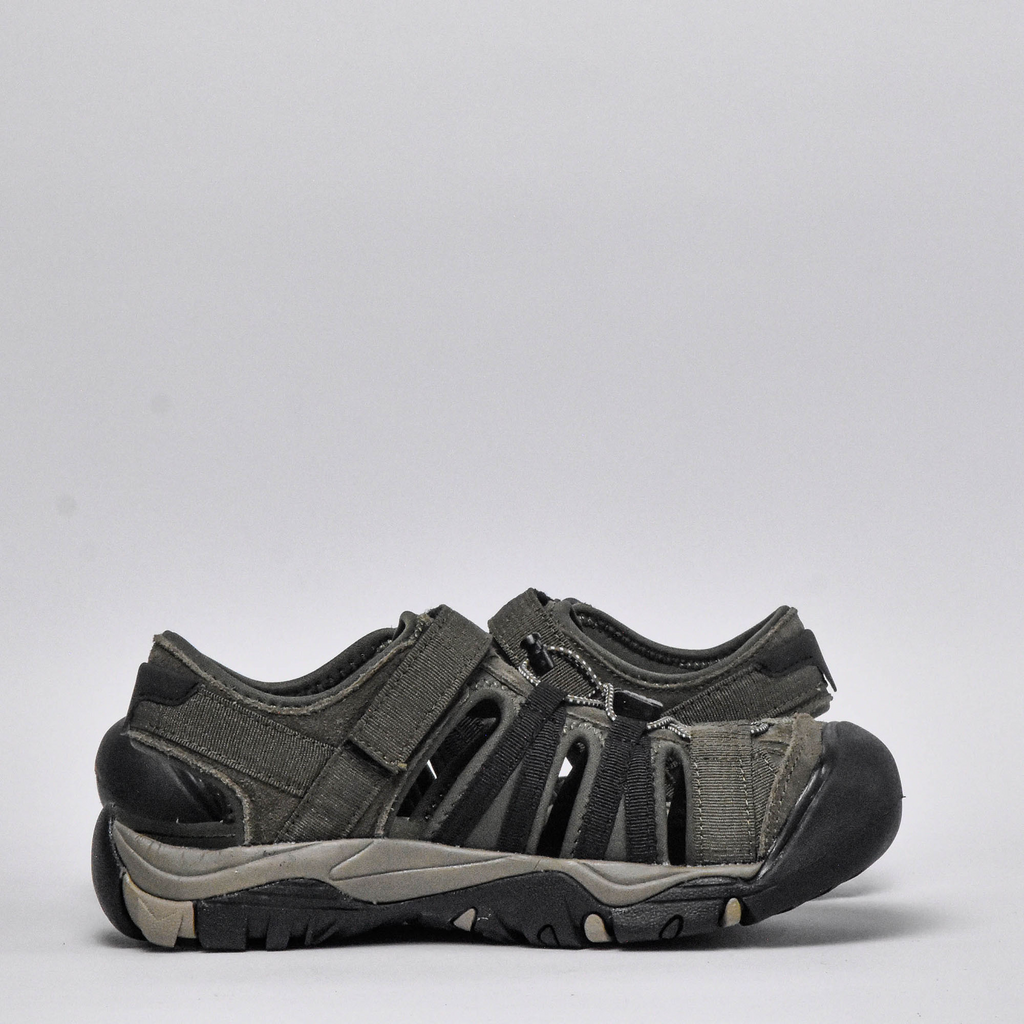 Shaol Bay Sea Turtle-Taupe. O014424